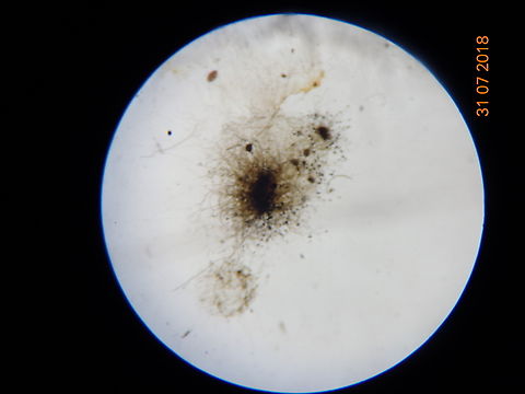 3.DSC07183_