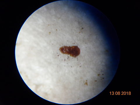 2.DSC08412_
