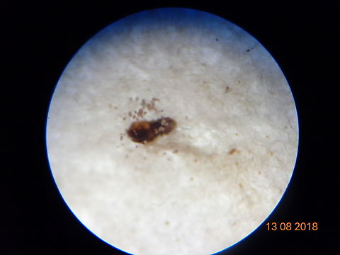 2.DSC08411_