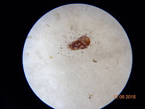 2.DSC08304_