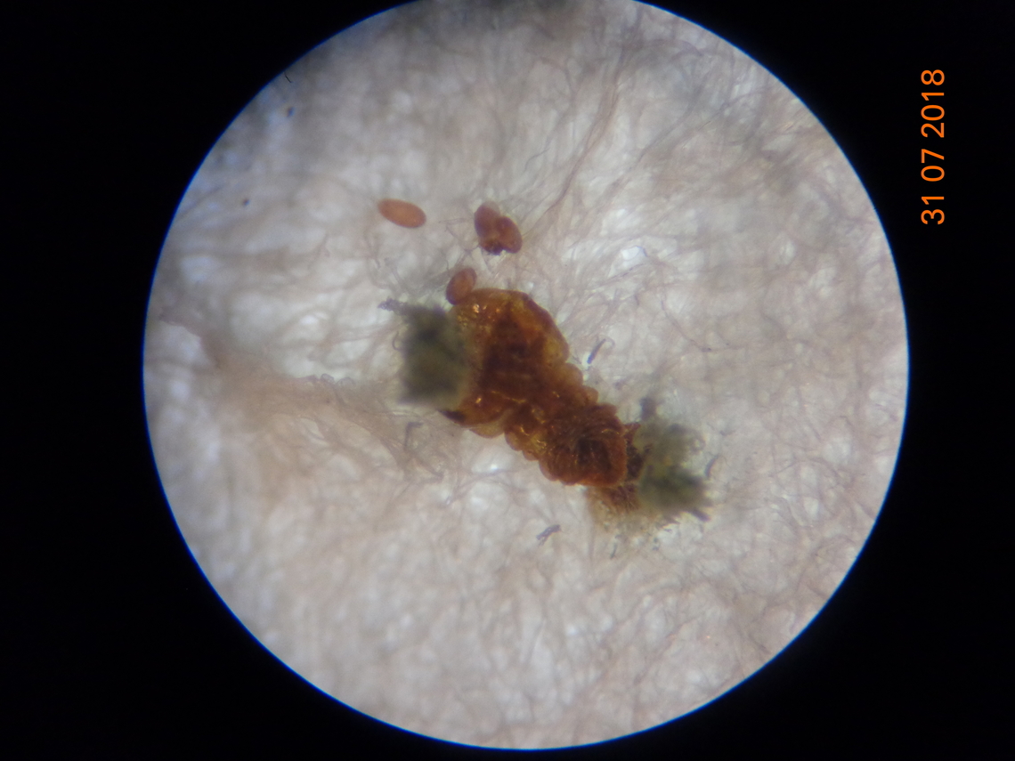 3.DSC07309_
