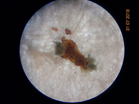 3.DSC07309_
