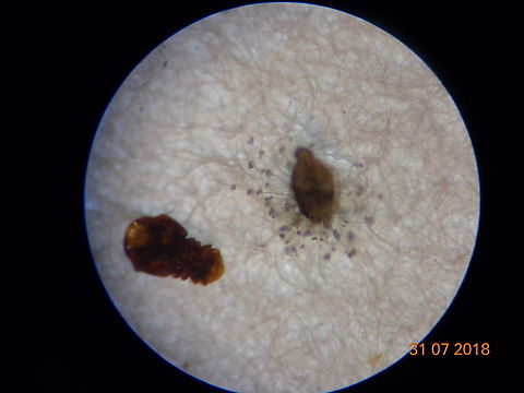 3.DSC07302_