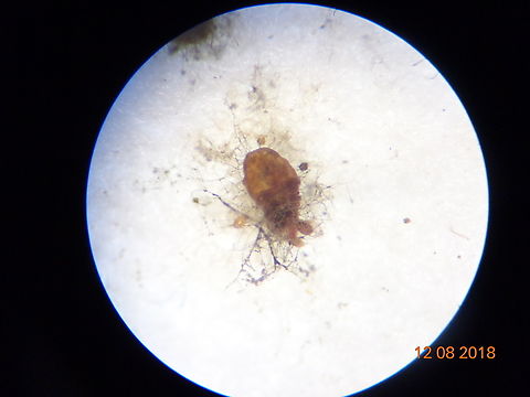 3.DSC08361_
