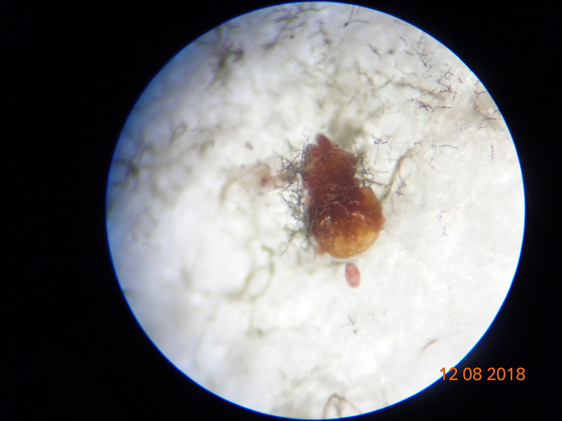 3.DSC08326_