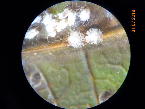 6.DSC07152_