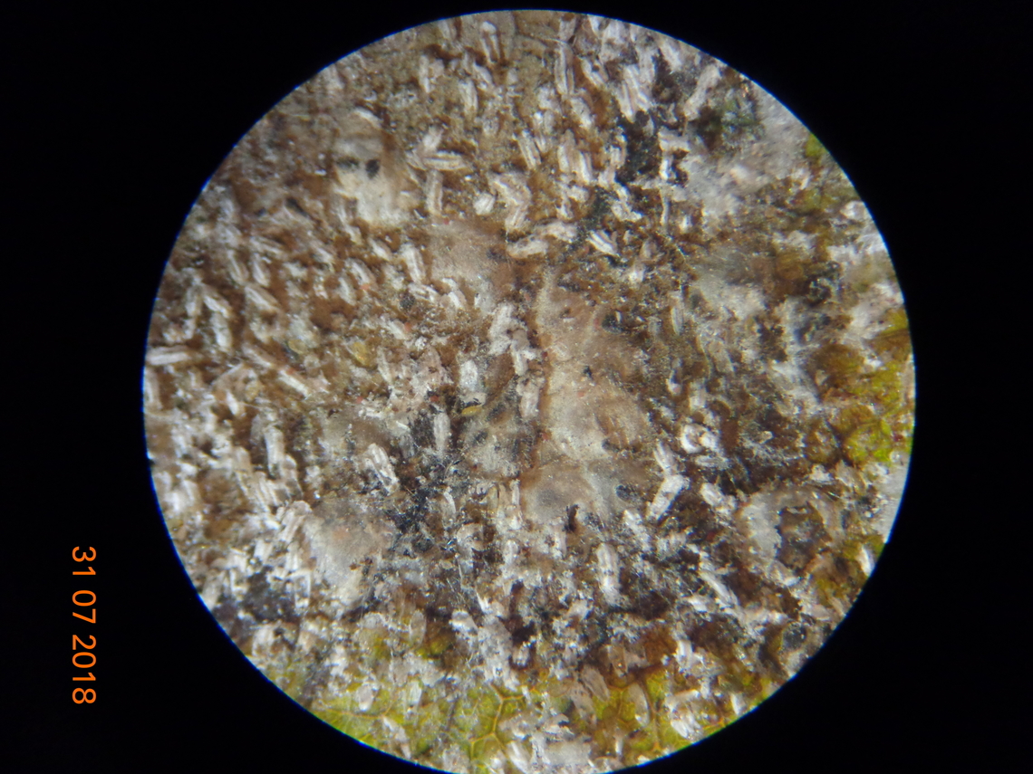 6.DSC07151_