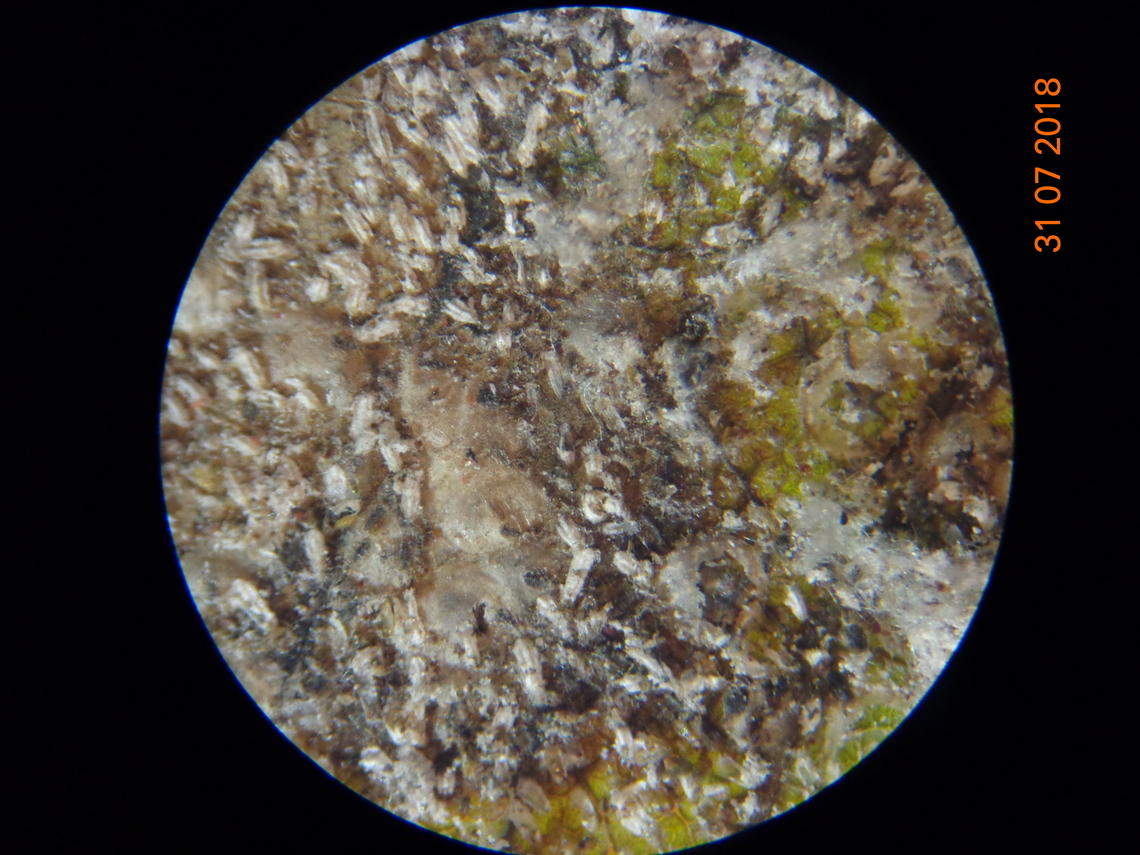 6.DSC07147_
