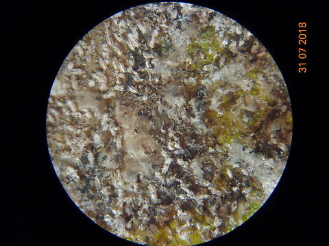 6.DSC07147_