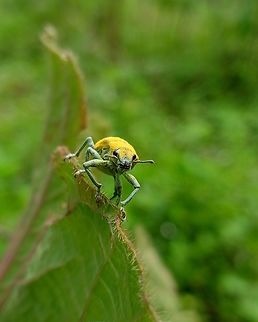 IMG_20240401_104704  Geotagged,Indonesia,Spring