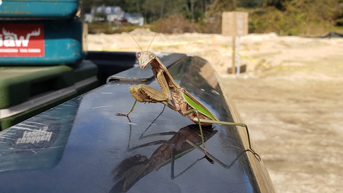 This girl liked to visit us at the farm.