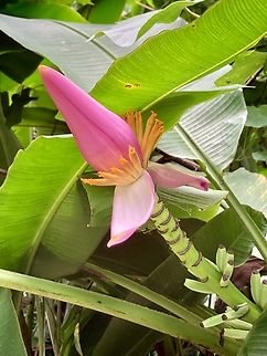 IMG_7676  Geotagged,United States,Winter