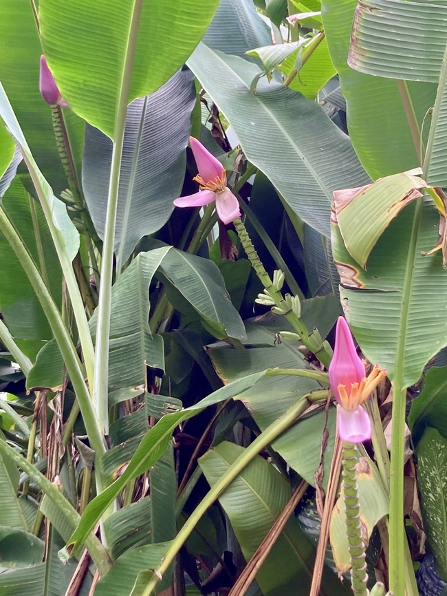 IMG_7680  Geotagged,United States,Winter