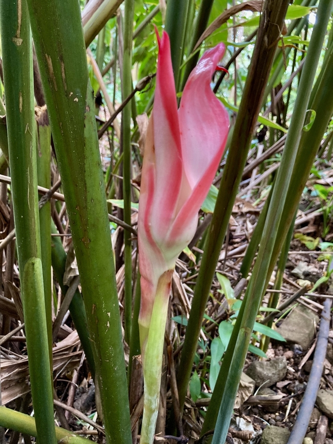 IMG_7650  Geotagged,United States,Winter