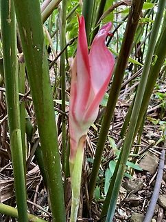 IMG_7650  Geotagged,United States,Winter