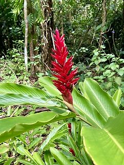 IMG_7673  Geotagged,United States,Winter