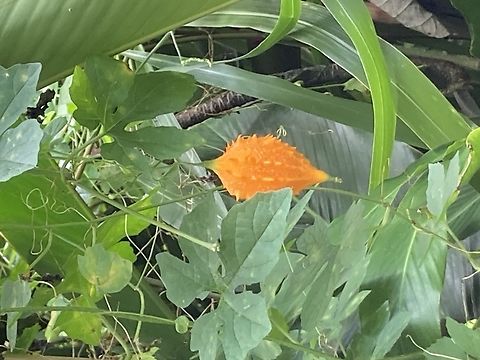 IMG_7681  Geotagged,United States,Winter