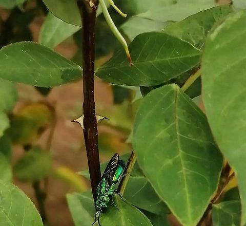 Polish_20240414_181938030