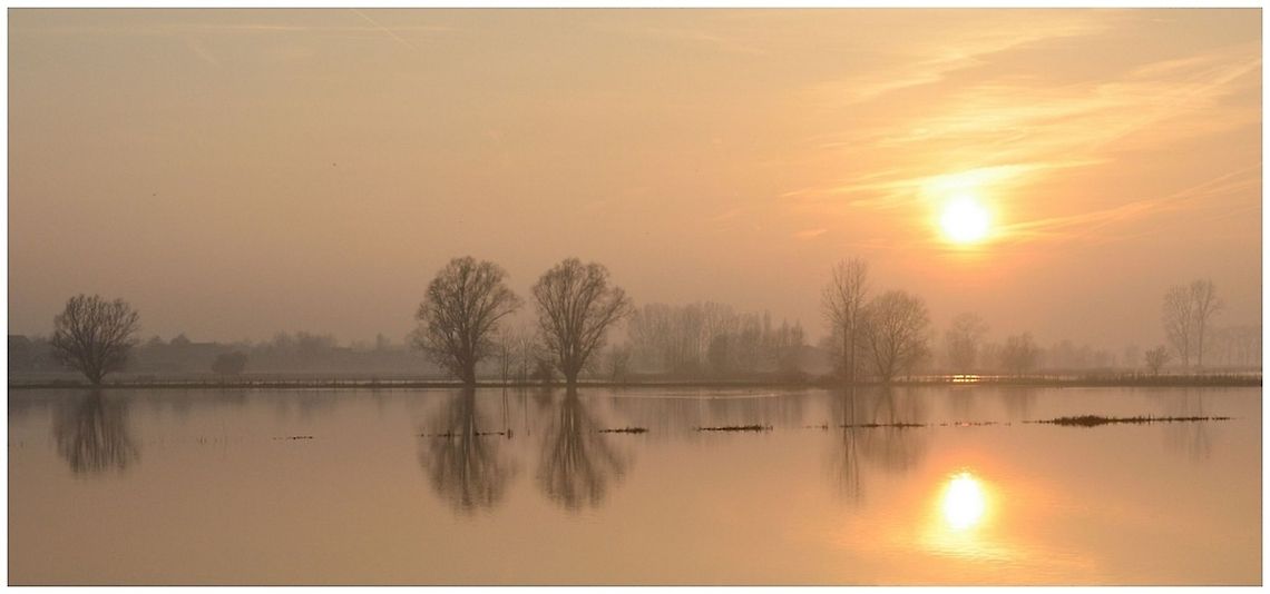 Flood. Currently flood in my region. flood,sunrise,water
