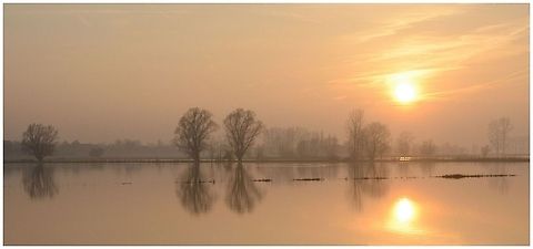 Flood. Currently flood in my region. flood,sunrise,water