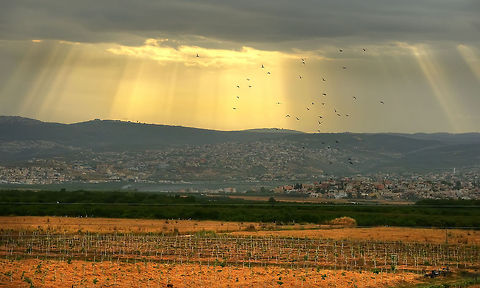 Sun Rays on a City The morning sun Landscapes,Sunrise,birds,light