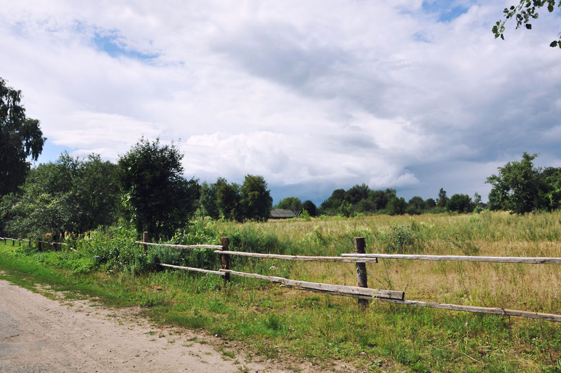 Summer in the village  field,nature,summer,village