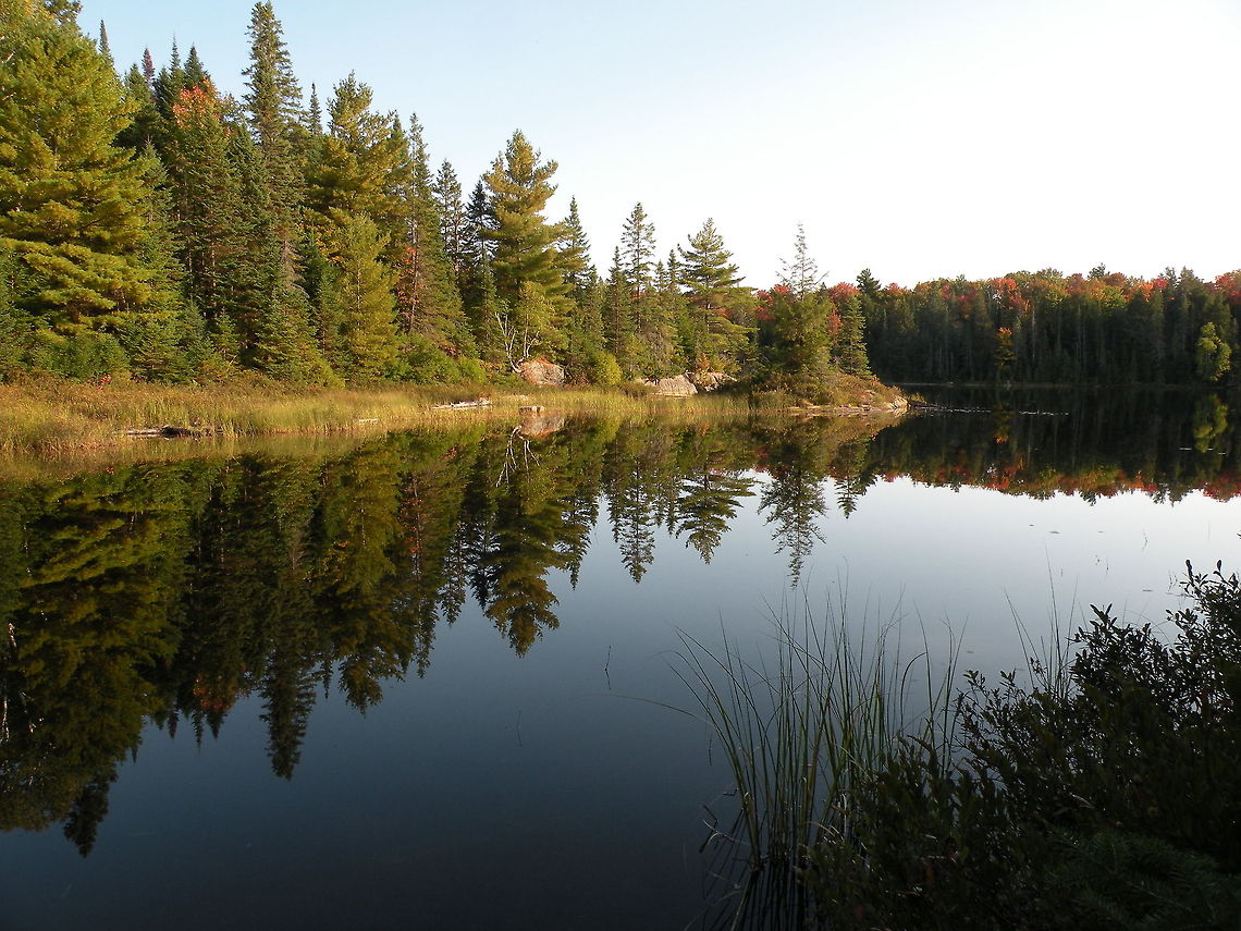 Mirror lake Mirror Lake in Algonquin Provincial Park, Ontario, Canada Canada,Landscapes,Reflection,river,trees