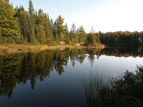Mirror lake Mirror Lake in Algonquin Provincial Park, Ontario, Canada Canada,Landscapes,Reflection,river,trees