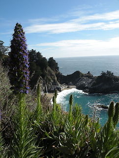 A bay in spring time Pacific Coast Highway, California, USA Geotagged,Landscapes,United States,sea