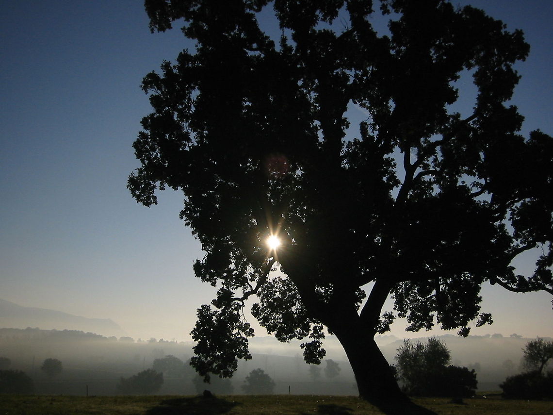 Morning sun Morning sun and fog in the Umbrian hills near Todi, Umbria, Italy Geotagged,Italy,Landscapes,Sunrise