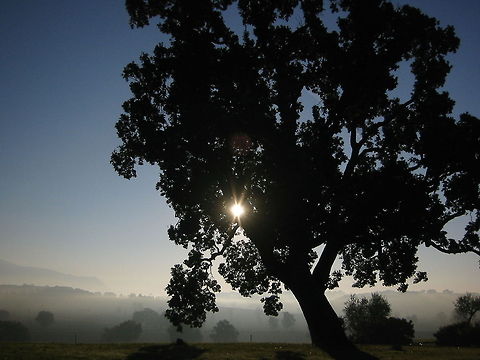 Morning sun Morning sun and fog in the Umbrian hills near Todi, Umbria, Italy Geotagged,Italy,Landscapes,Sunrise