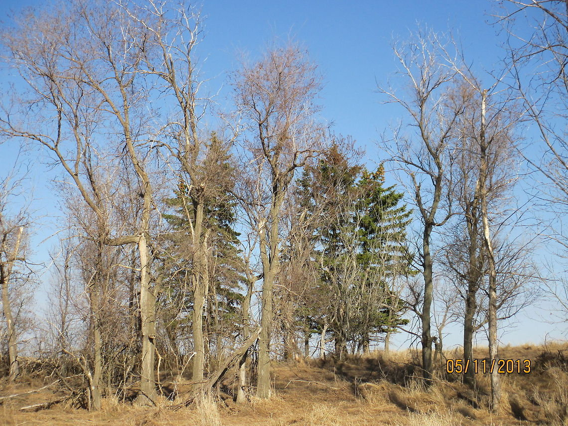 Spring is in the Air North Dakota nature on the prairie in ghost town Denhoff. North Dakota,Prairie,nature