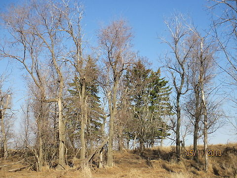 Spring is in the Air North Dakota nature on the prairie in ghost town Denhoff. North Dakota,Prairie,nature