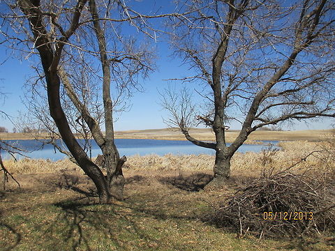 Love of the land Spring is here and blue skies are everywhere.  North Dakota,United States,blue sky,landscape,nature