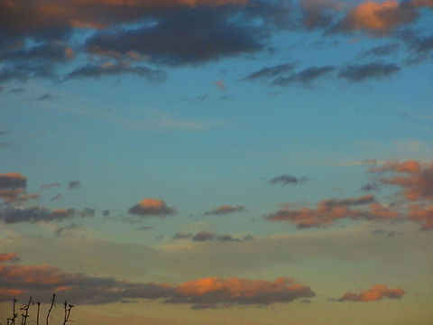 Paint the sky  Sky