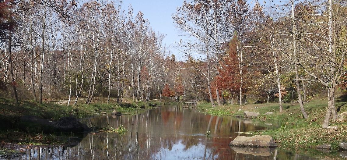 Fall Scene I was on a walk with my family on Fort Leonard Wood, when I stopped to admire this scene. It is one of the only pictures I have taken that have a good reflection element. Tree,fall,river