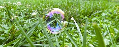 Bubble This is obviously a bubble :)  Sometimes when bubbles land on the grass they don't pop. I don't know how, but it makes for a pretty cool subject.                                bubble,grass