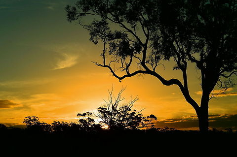 Australian Sunset Late Afternoon at a place just south of Mogo Town in NSW Australia. Liked the view Australia,Geotagged,Sunset