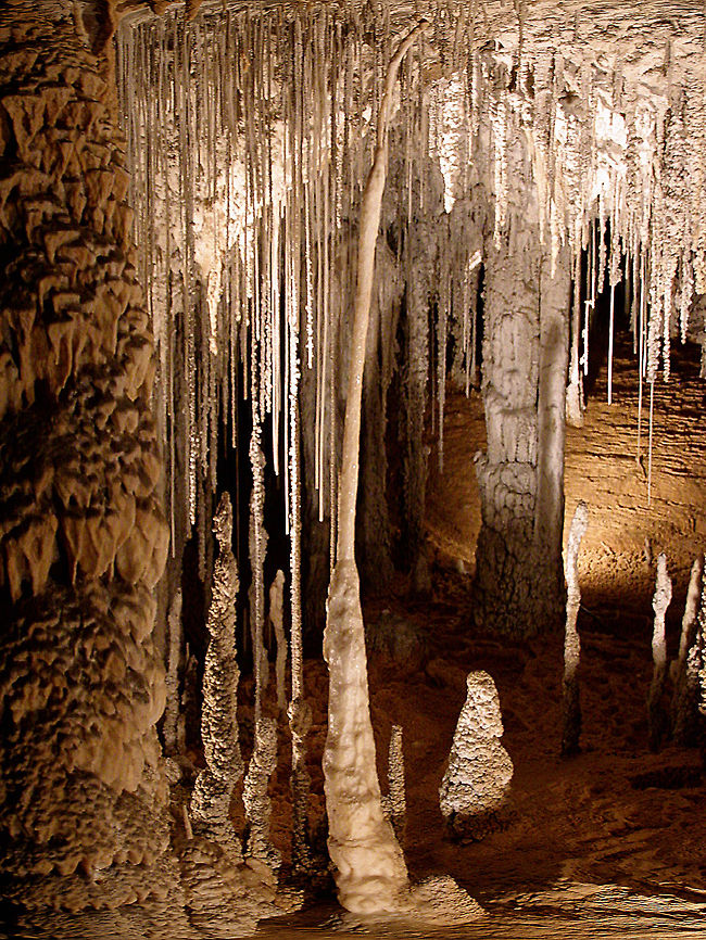 Mole Creek Caves Stalegtites that were exremely slim, white and fragile hang from the cave roof and created a beautiful atmosphere.  Australia,Caves,Geotagged,Mole Creek,Tasmania