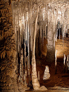Mole Creek Caves Stalegtites that were exremely slim, white and fragile hang from the cave roof and created a beautiful atmosphere.  Australia,Caves,Geotagged,Mole Creek,Tasmania
