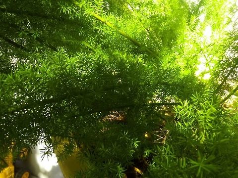 16830756_10210821880076748_4187612618681171143_n