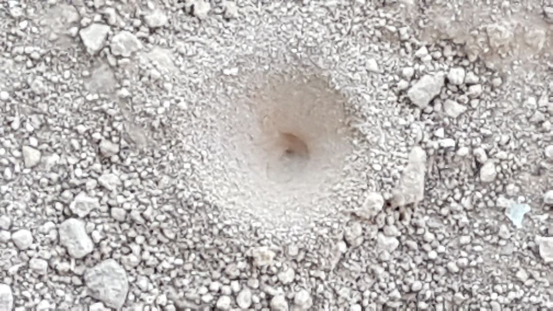 Lion's Ant Hole These kind of insects make holes in the ground to catch and eat other insects, most of them being ants. Geotagged,Mexico,Winter,lion ant,lions ant hole