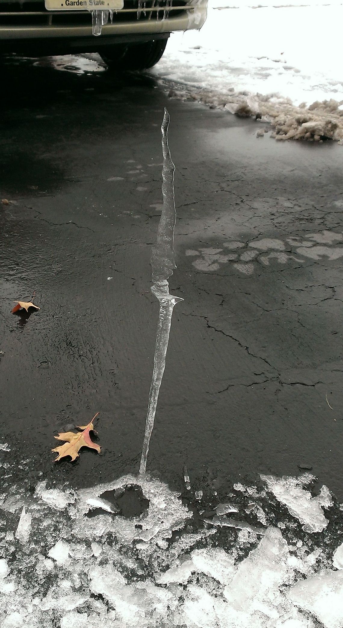 rising up Found this gem when I returned home for my short trip with the car. An icicle from the ground up. icicle