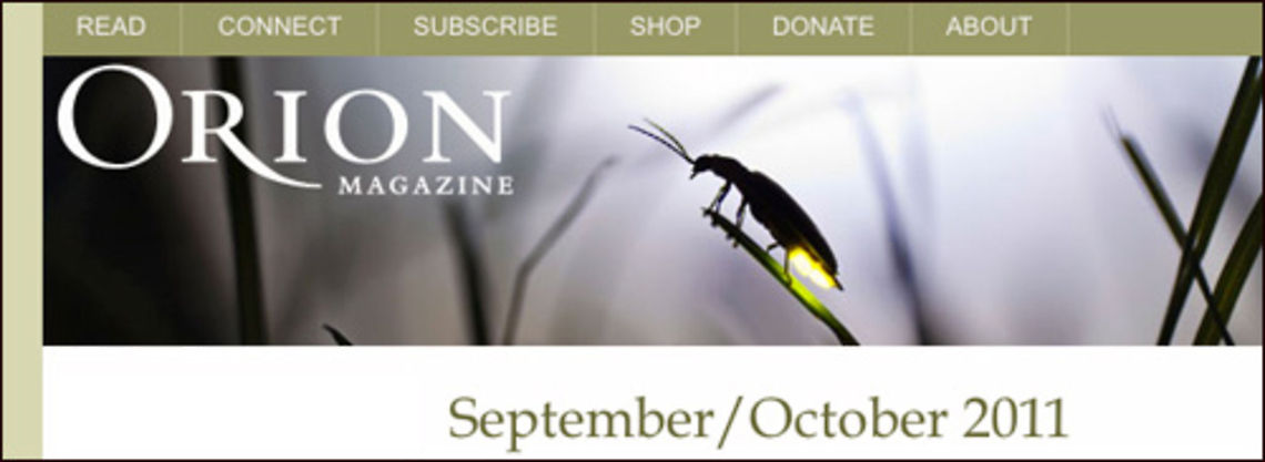 Orion Magazine | Photinus pyralis Cool news! The September/October issue of Orion Magazine is out with a table-of-contents double-page spread of one of my firefly images.Orion is a fine environmental magazine devoted to creating a stronger bond between people and nature.Original Post: <a href="http://www.bugdreams.com/archives/orion-magazine/" rel="nofollow">http://www.bugdreams.com/archives/orion-magazine/</a> Photinus pyralis,bioluminescence,common eastern firefly,firefly,glowworm,lightning bug