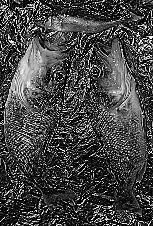 When dont give up!  После рыбалки принёс домой окуней. Маленький окунь использовался как приманка(живец). натюрморт,окунь,рыба,рыбалка