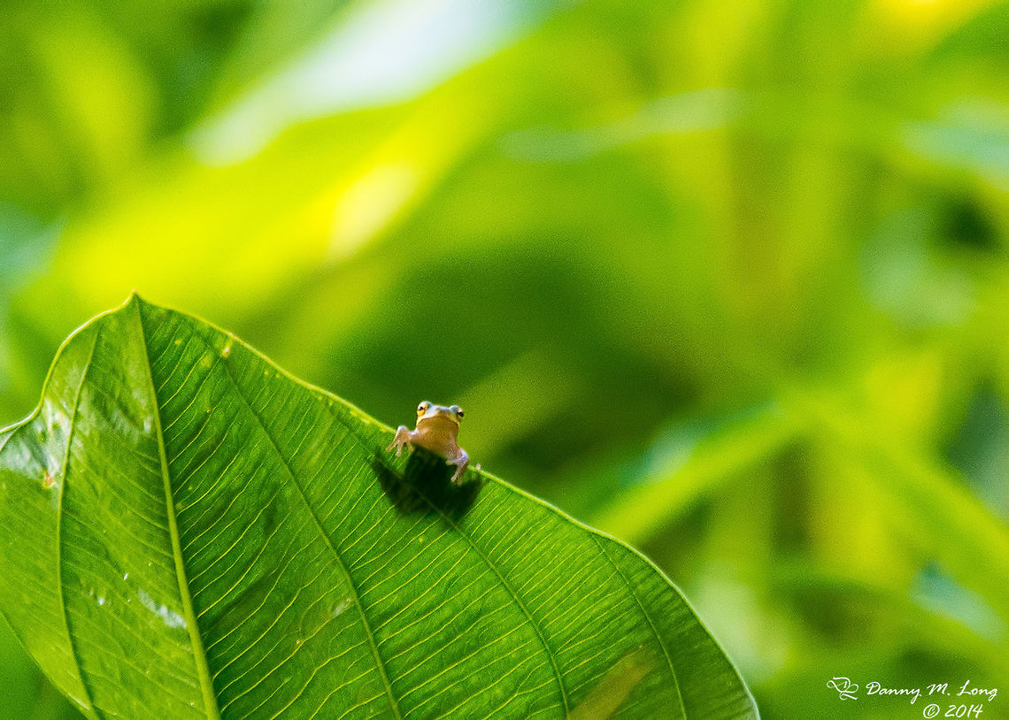 Nature is watching!