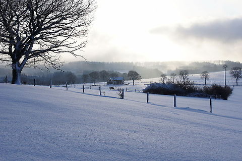 Winter scene in the ardennes  Belgium,Geotagged