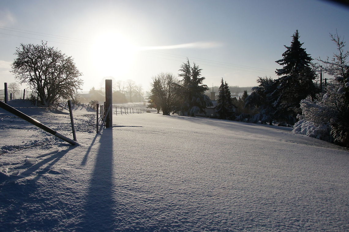 Black shadows in the white snow Black shadows in the white snow Belgium,Geotagged