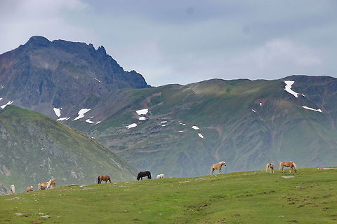Austria Landscape near K&uuml;htai In the winter times these hills are home to thousends of wintersport fans, during the summer the deserted plains are occupied by grazing cows and horses. 
Picture taken out of the ski lift near the Austrian village of K&uuml;htai. Austria,Geotagged