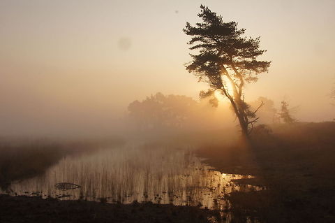 Good morning @ Diepe Meerven  Geotagged,The Netherlands
